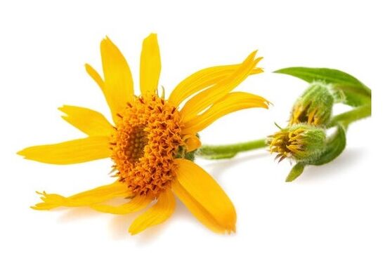 Depanten contiene arnica di montagna